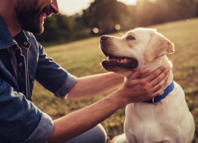 man with dog in park
