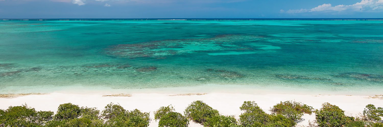 Aerial view of ocean and beach