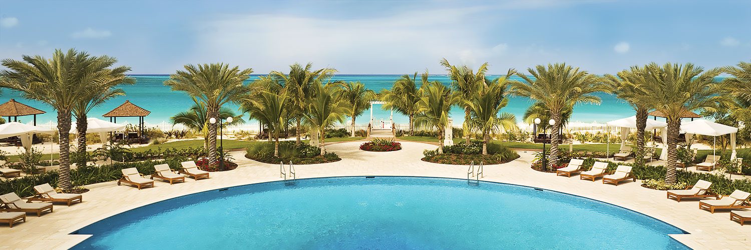 Pool surrounded by palm trees and lounge chairs