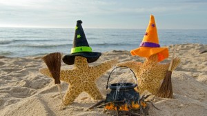 starfish