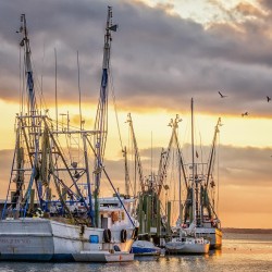 boats docked along a pier during sunset