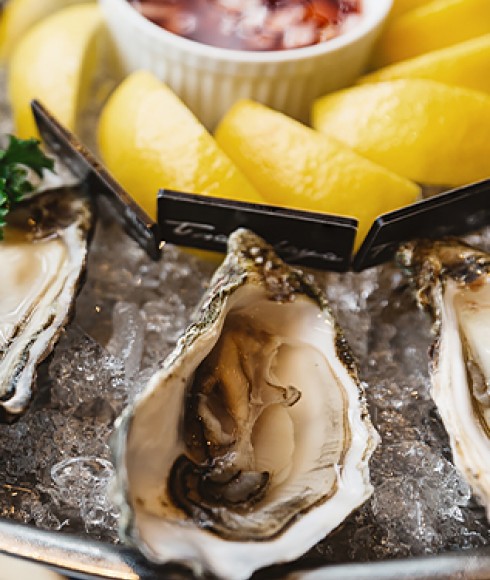 a plate of oysters on ice