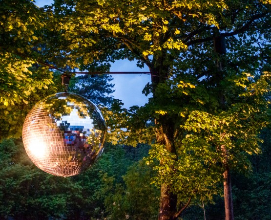 disco ball hanging in the trees