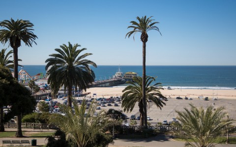 view of santa monica beach with palm trees