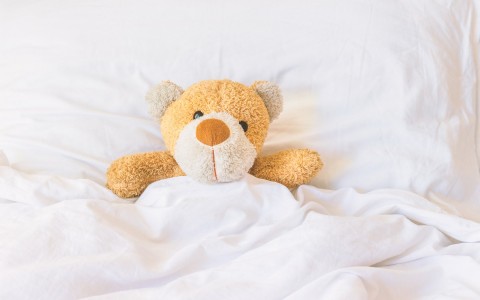 a teddy bear tucked under the covers