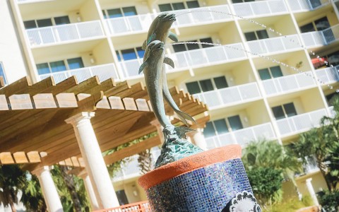 a dolphin fountain at the pool
