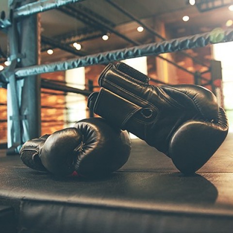 showboat home upcoming events celebrity boxing 68