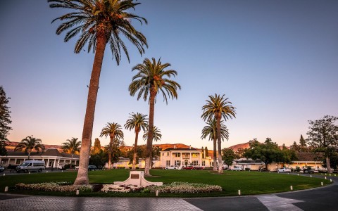 outside view of silverado with palm trees