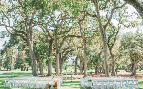 outdoor wedding ceremony chairs under canopy of tress