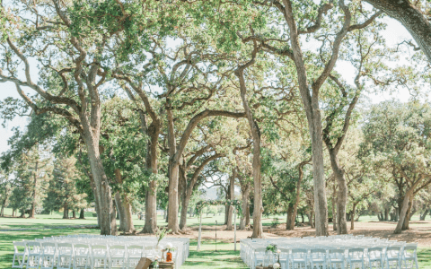 outdoor wedding ceremony chairs under canopy of tress