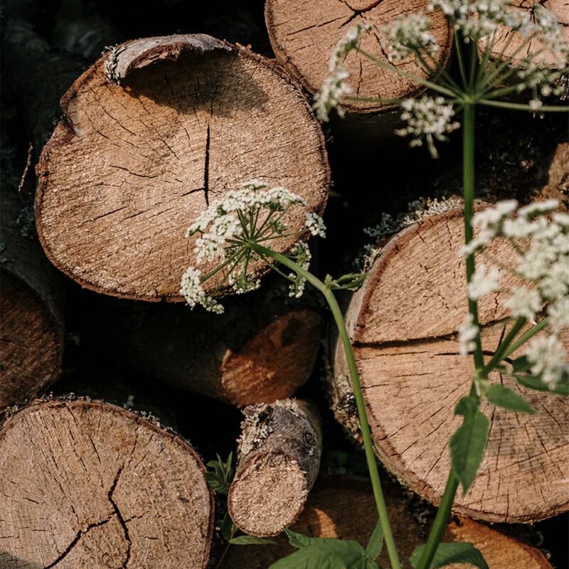 pieces of wood