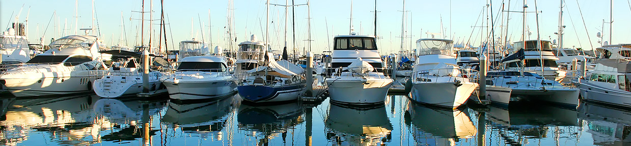 Boats in the marina