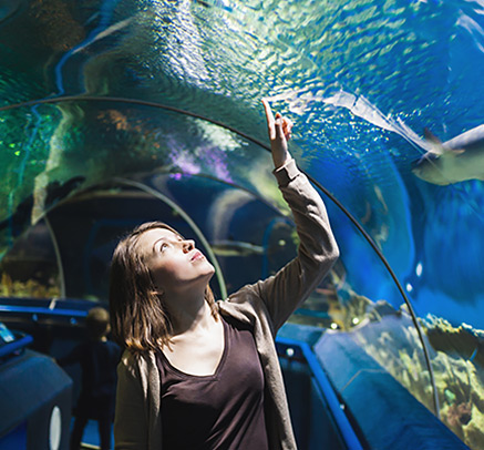girl looking at fish in an aquarium