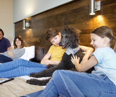 family and dog on bed in hotel room