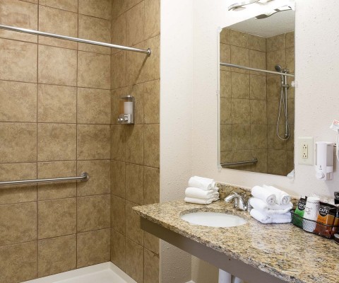 Bathroom with ADA bars in shower