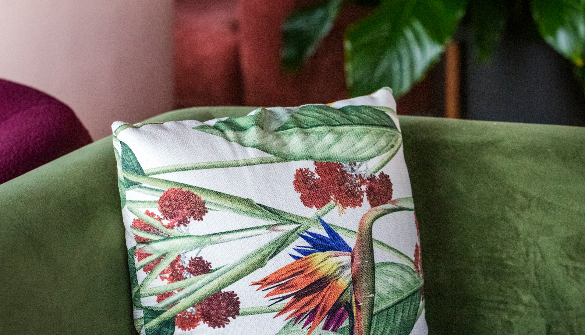 plant printed pillow on a green velvet sofa