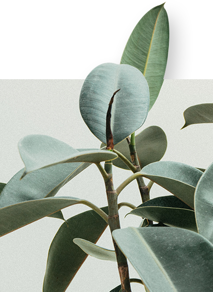 spiceisland web homepage 03 0 texture