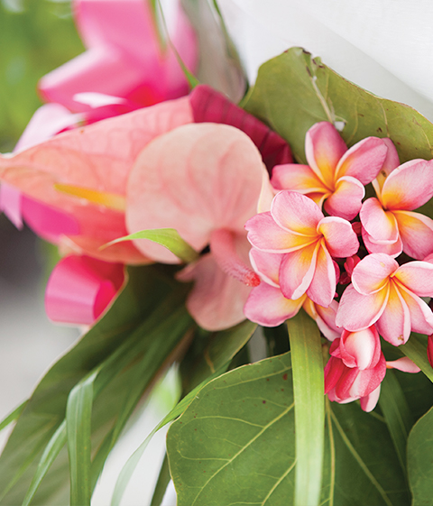 Close up of pink flowers