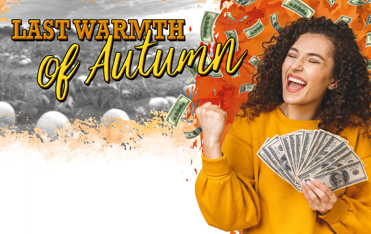 650x410 last warmth of autumn web banner