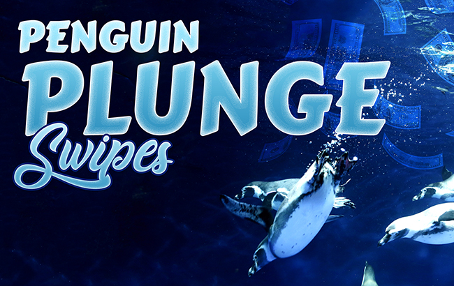 650x410 penguin plunge swipes web banner
