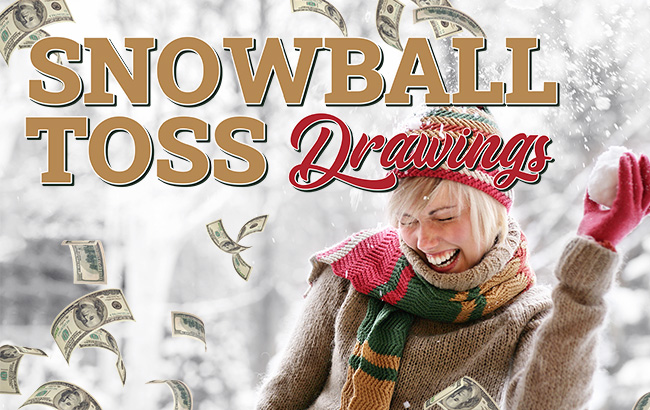 650x410 snowball toss drawings web banner