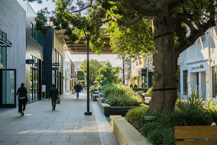 Shopping the Stanford Way