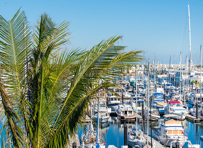 StockIsland Marina Reservations Intro Slips