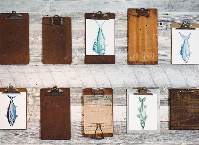 fishes drawn on a clip board