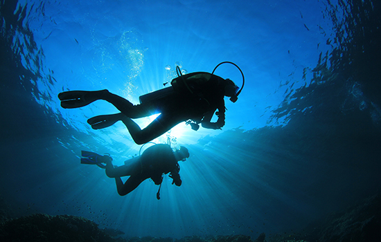 Two people scuba diving in the ocean.