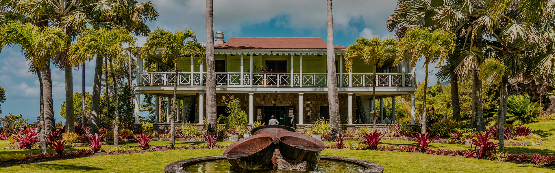 A fountain with red plants and palm trees.
