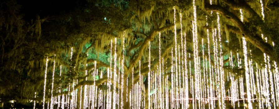 brookegreengardenslights