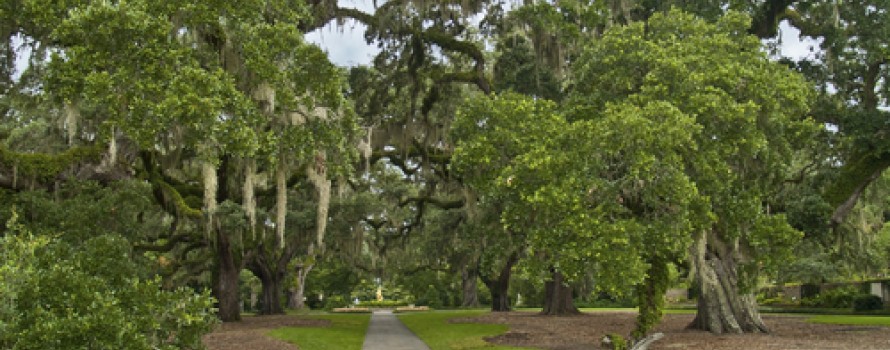 brookgreen-gardens-566f24cb4c480.jpg