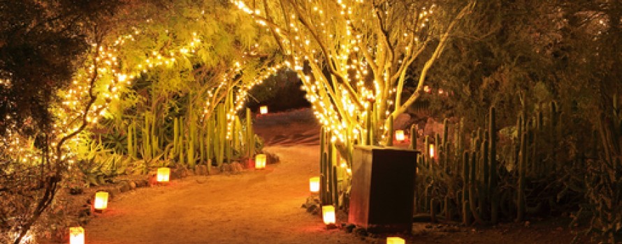 candle lit gardens