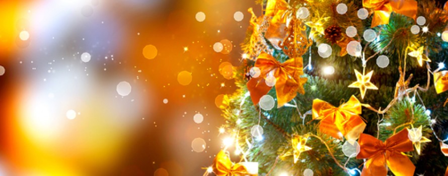 festival-of-trees-5641315701713.jpg