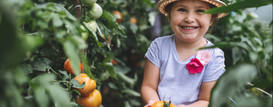 little girl holding tomato