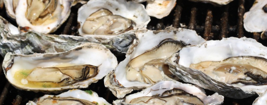 surfrider-oyster-roast-56ba71a2095a3.jpg