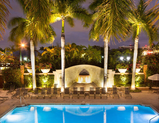 palm trees overlooking a pool with a purple sky