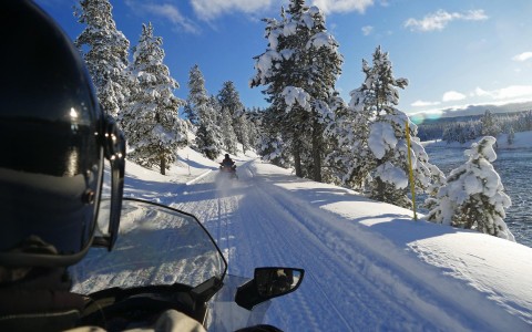two people snowmobiling through the woods