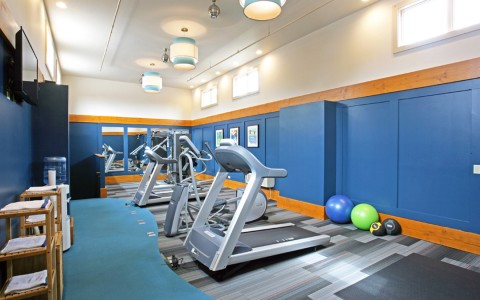 workout equipment at the resort fitness center 