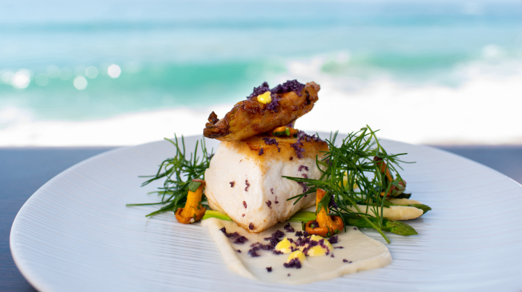 Wild Alaskan Halibut