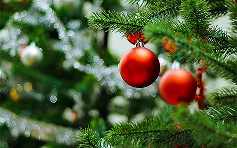 SB-Calendar-Events-Festival-Trees-58f8c6fa5a426.jpg