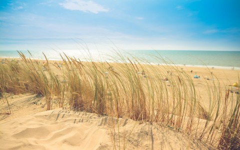 Surfside-Gallery-2-58e2664295c65.jpg