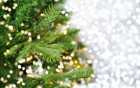 white and gold reflecting lights on Christmas tree