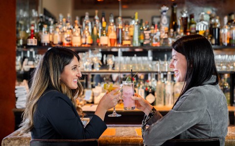 two ladies making a toast at the bar with their cocktails