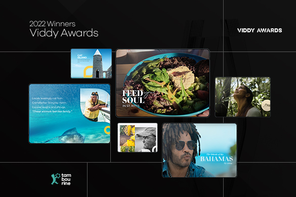 Tambourine Video Production Wins Six Platinum Viddy Awards