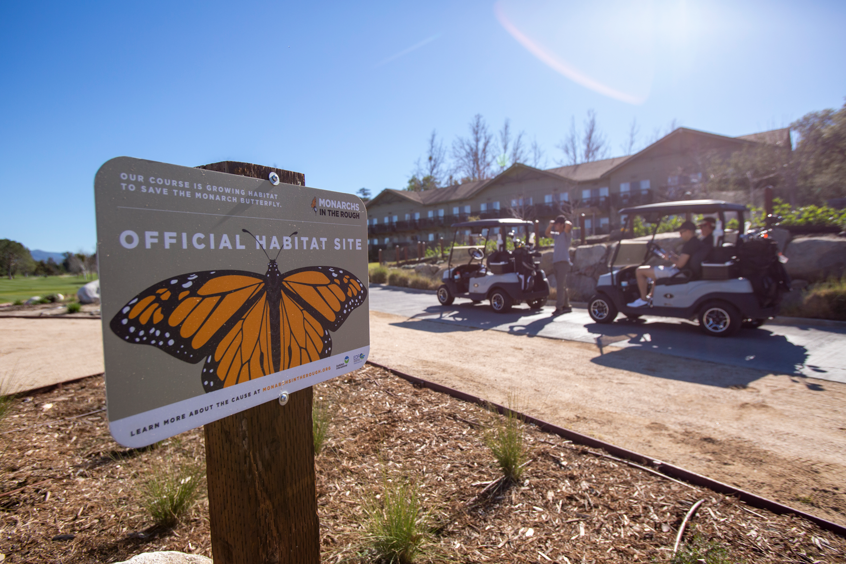 Temecula's butterfly sign with golf carts in the background