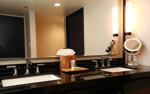 suite bathroom with black counter top and 2 sinks with tissue box and soap in the center of the counter