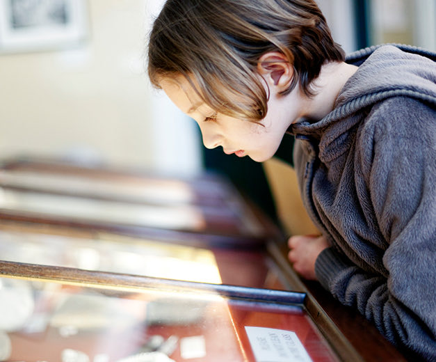 a young boy in a museum looking at a protected case with historical peices 