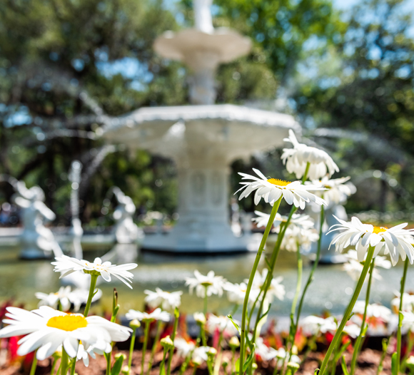 flowers with fountain in background