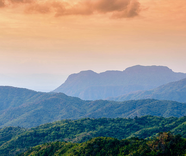 mountain scape at dawn with trees